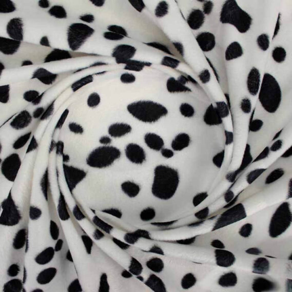 Pelo Curto Dalmata