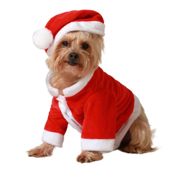 Fato Pai Natal para Cão